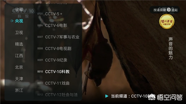 如果我爱你tv版电视剧全集免费,最佳精选数据资料_手机版24.02.60