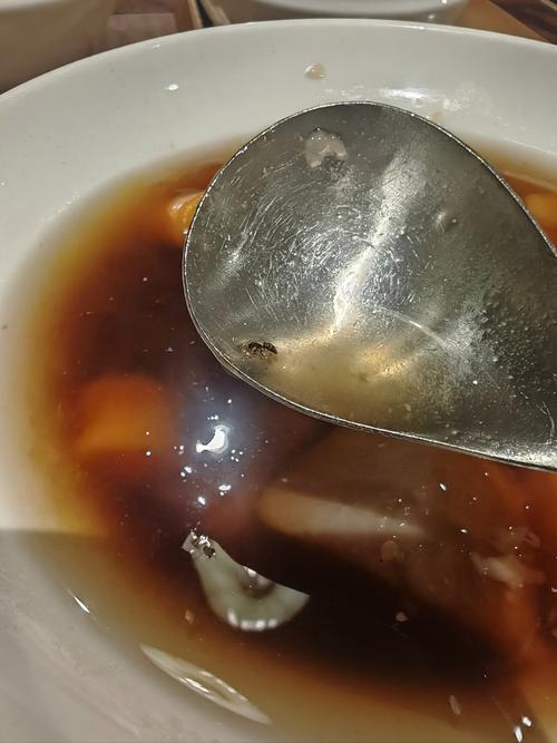 澳门研究生一码资料,和未拆封餐具蟑螂乱爬与未拆封餐具蟑螂乱爬怎么办