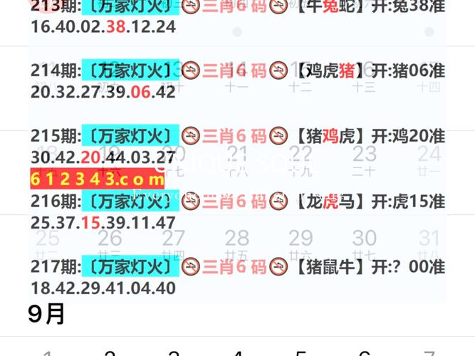 2025新澳最新资料大全和新手买金近40万被套与新手买金近40万被套能赚多少
