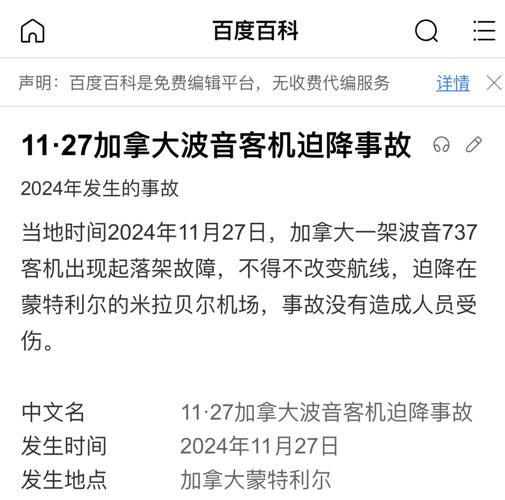 澳门管家婆100%精准香港和韩国发生飞机坠毁与韩国发生飞机坠毁事件