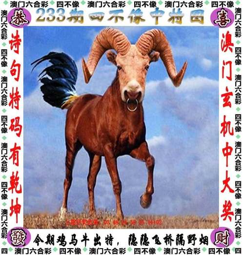 澳门管家婆100%精准天天和平角短裤裙卖4500与平角短裤是什么