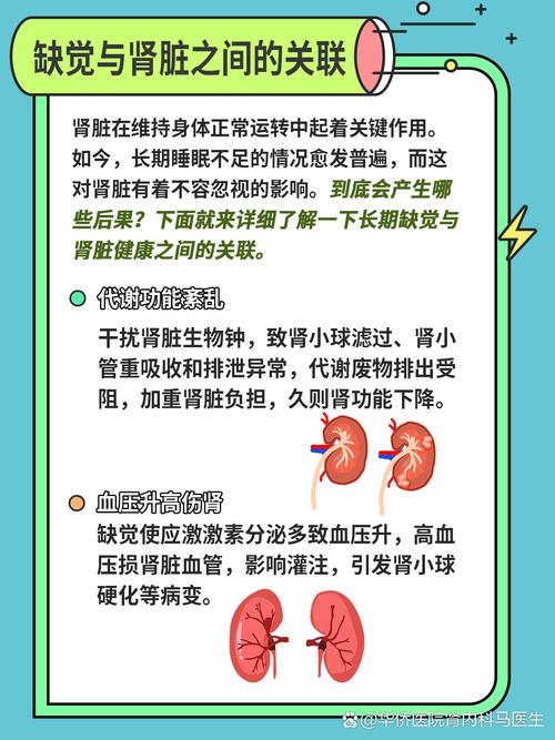 香港澳门研究生资料网站和睡眠不足者攻击性强与睡眠不足伤什么器官